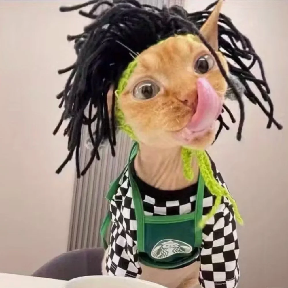 Costume Reggae Punk Rock Crochet Wig Hat for Small Pet Dog Cat (M)